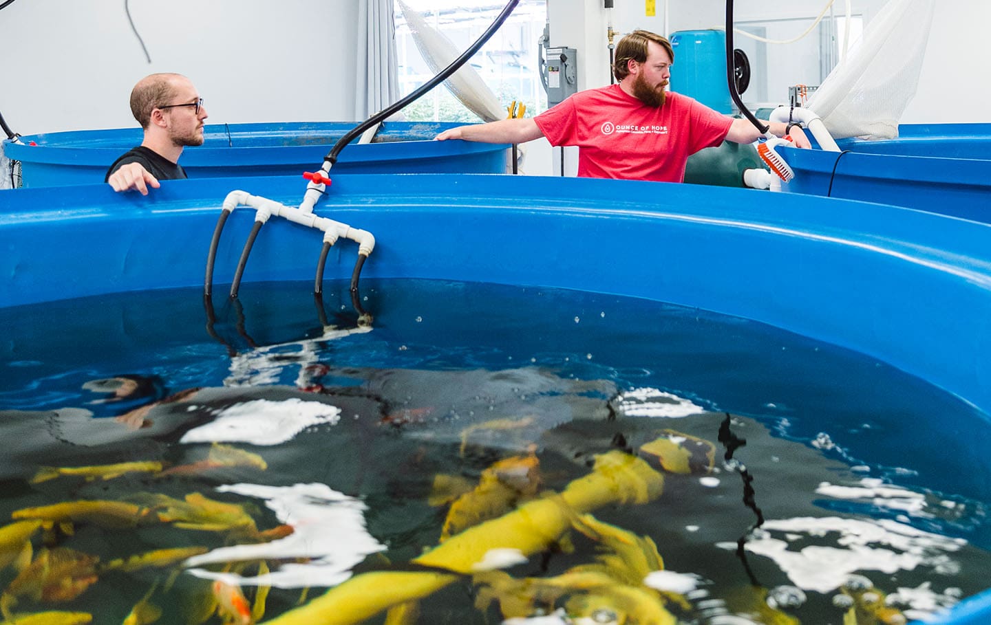 FishTank-2 Aquaponics