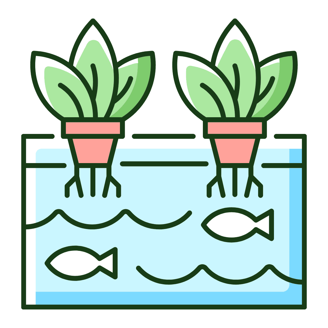 How Does an Aquaponics System Work