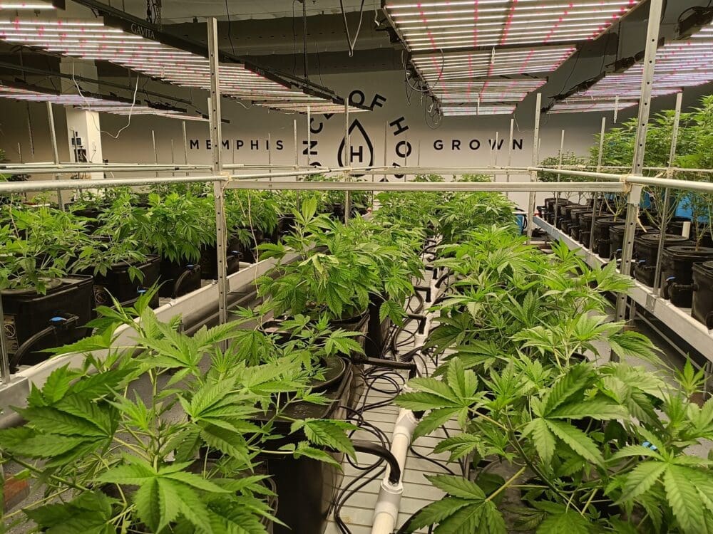Ounce of Hope Farm