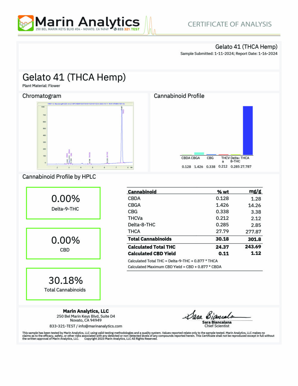 THCA COA Gelato 41