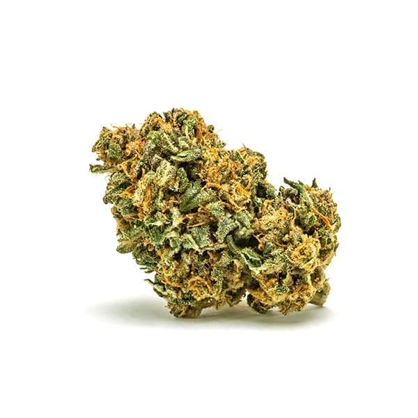 Double Stuffed Strain, 31.6% THCa Flower