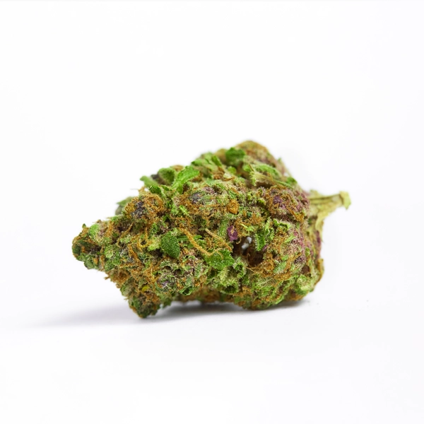 Lemon Pastries Strain, 36.4% THCa Flower