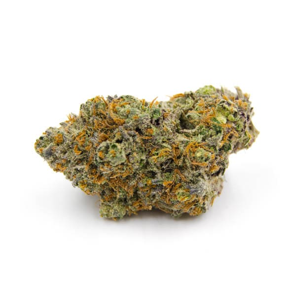 Zashimi Strain, 26.6% THCa Flower