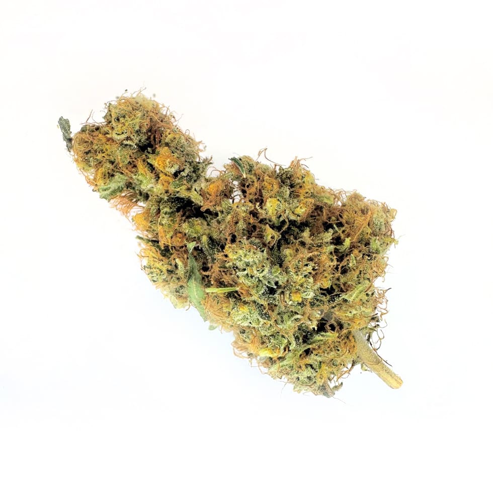 Cakeberry Brluee CBD Flower, image of a single bud