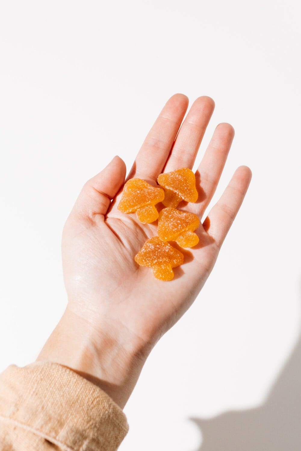 mushroom gummies in a hand